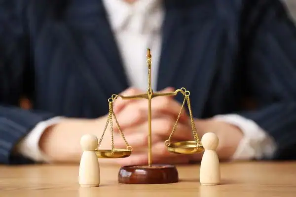 Image of financial mediation Dudley